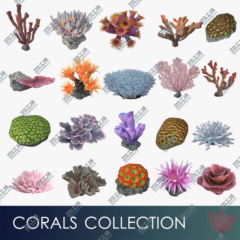 images/goods_img/20210113/corals collection 3D model/1.jpg